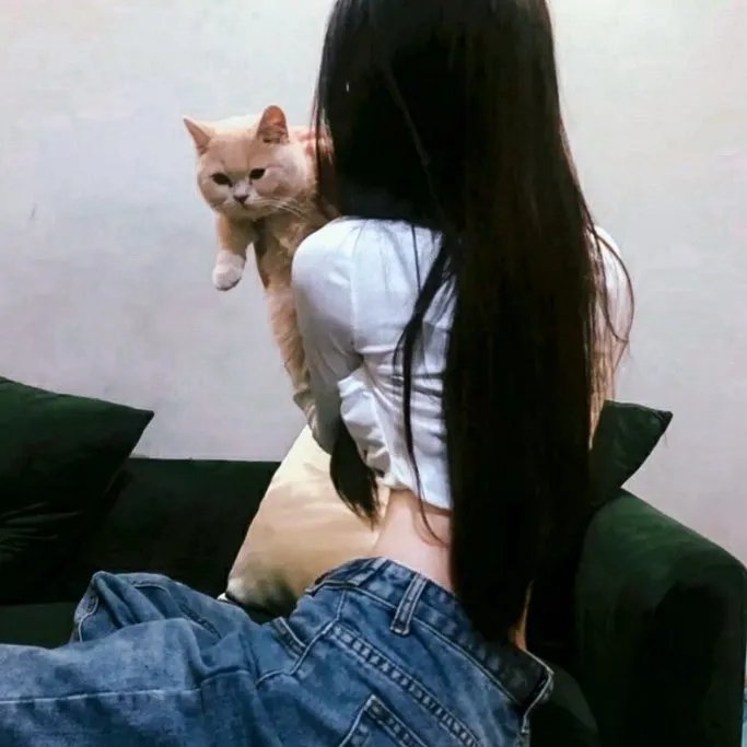 特禽鲨龙